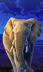 African Elephant
