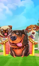 The Dog House