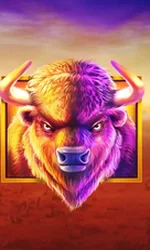 Buffalo King
