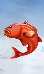 Ice Fishing
